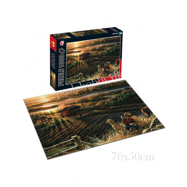 Solnedgang over marken (1000 brk. pap)