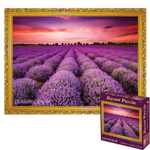 Lavender Field (1000 brk. pap)