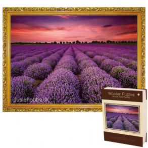 Lavender Field (1000 brk. tr)