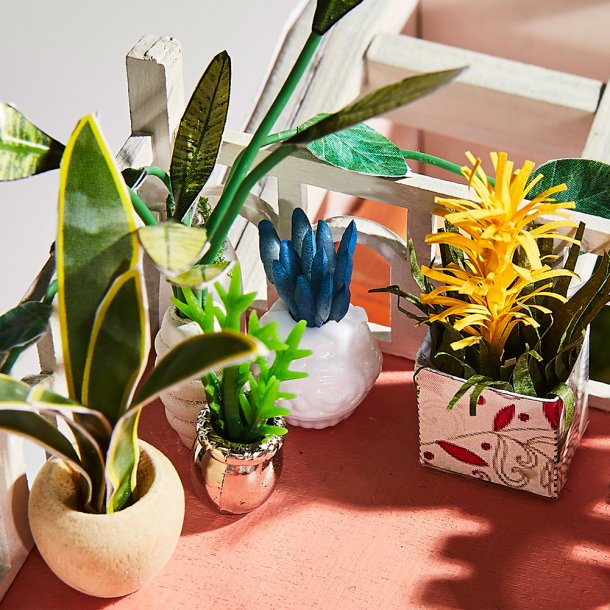 Gypsophila Blomsterbutik