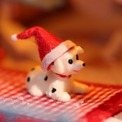 Hus ved juletid