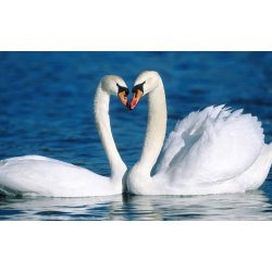 Rhinstensbroderi M033 (40x50)