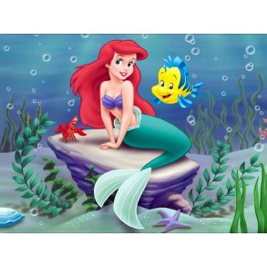 Rhinstensbroderi M208 (40x50)