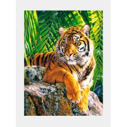 Mal efter Tal 40x50 - M126