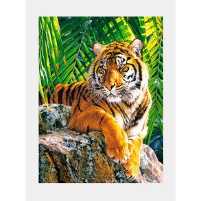 Mal efter Tal 40x50 - M126