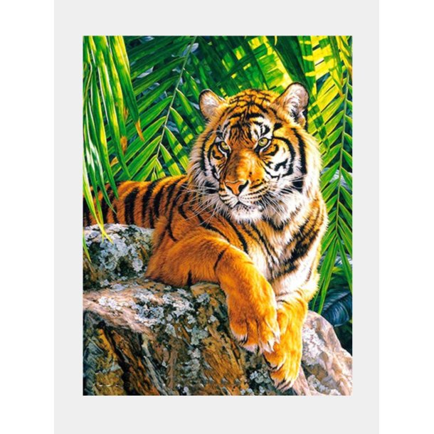 Mal efter Tal 40x50 - M126