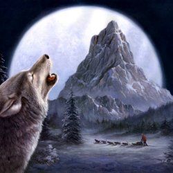 Mal efter Tal 40x50 - M487